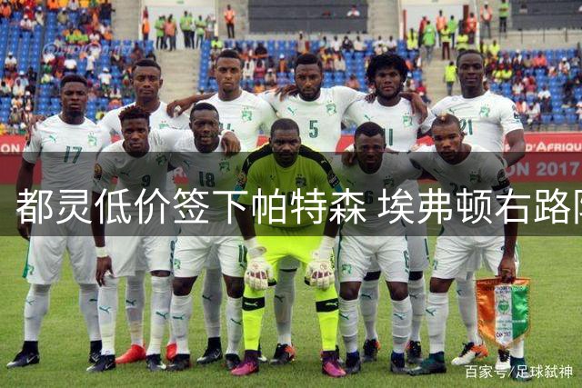 都灵低价签下帕特森 埃弗顿右路防线告急